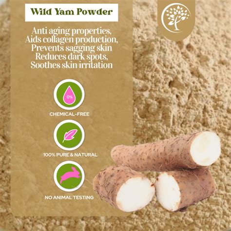 Wild Yam Powder For Cosmetic Use Green Herbology