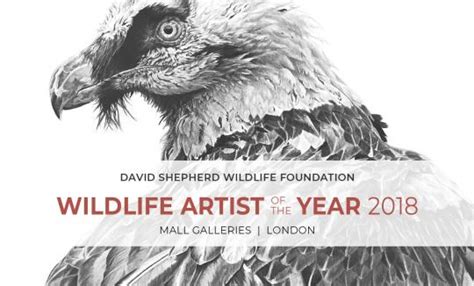 Wildlife Artist Of The Year Mall Galleries The Mall London