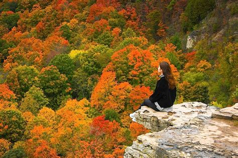 The 10 Best Places To See Fall Colours In Toronto