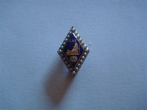 Nice 10k Solid Gold Sigma Alpha Epsilon Fraternity Pin Wseed Pearls Ebay
