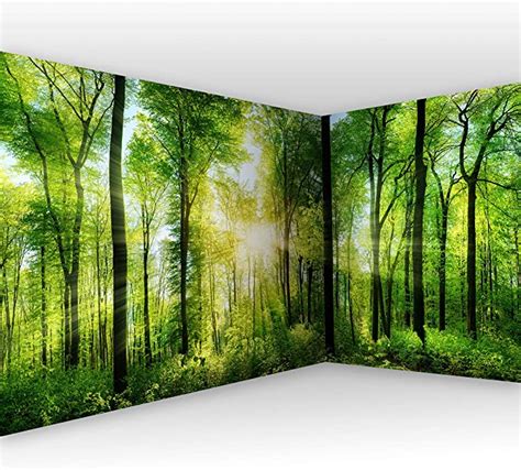 Murando Photo Wallpaper Forest 550x250 Cm 217 X 99 Non Woven