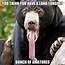 The One With Black Bear Really Long Tongue Memes  Quickmeme