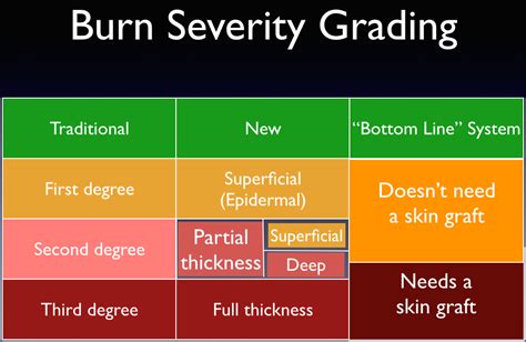 Understanding Skin Burn Severity Chart 20x26 Nursing