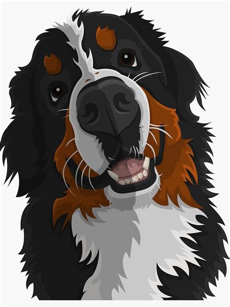 47 How To Draw Bernese Mountain Dog Image Bleumoonproductions