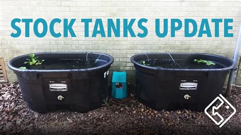 Pond & Goldfish Stock Tanks Update - YouTube