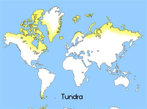 Tundra Biome World Map