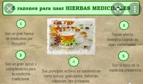 Elabora un mensaje de reflexión sobre el uso de las plantas medicinales