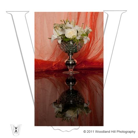 Woodland Hill Photography: KJ Floral Designs: Sussex Commercial Photography