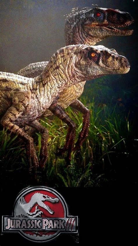 Alpha Male And Female Raptors Jurassic Park Velociraptor Jurassic Park Jurassic Park Movie