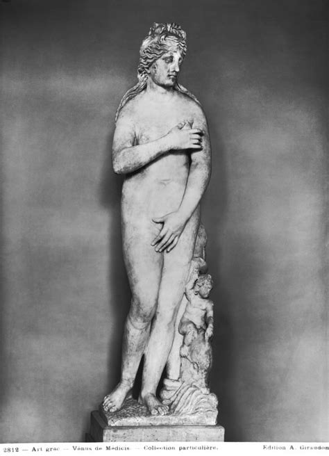 Venus With Eros Riding A Dolphin Marble