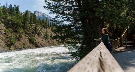 Bow River Trail To Bow Falls Banff And Lake Louise Tourism