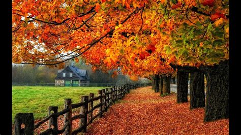 How Beauty Of Autumn Fall In Canada Elena And Ryan Youtube