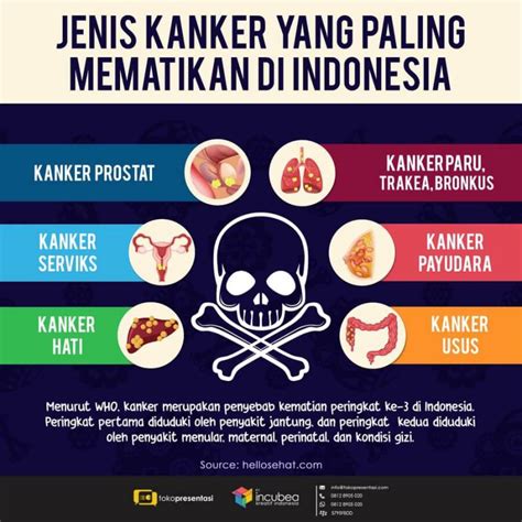 Infografis Jenis Kanker Mematikan Di Indonesia Tokopresentasi