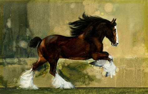 Clydesdale Stallion Painting By Don Langeneckert