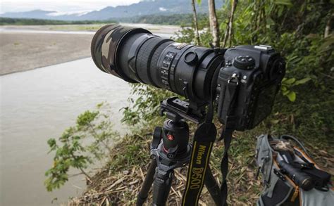 Best Wildlife Cameras Of 2020 Ultimate Review Digital Camera Hq