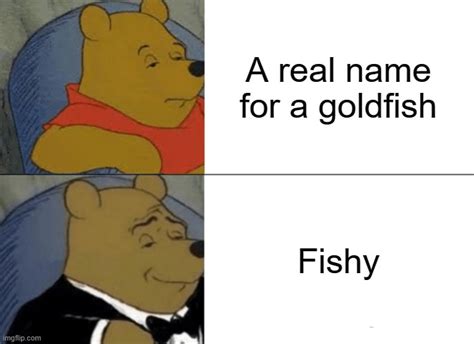Goldfish Names Imgflip