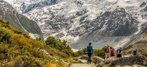 Top 10 New Zealand Vacation Ideas New Zealand Walking Tours