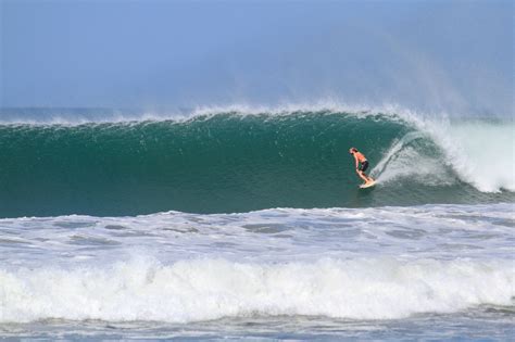 Chicama Peru Surf Report Perfect Wave Travel