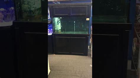 90 Gallon Reef Ready Aquarium Fish Tank Complete 500 Youtube
