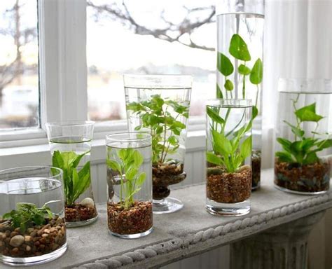 10 Amazing Indoor Garden Ideas To Instantly Refresh Your Space