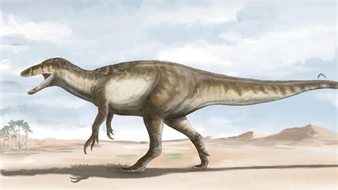 The Remains Of One Of The Last Carnivorous Dinosaurs Discovered In