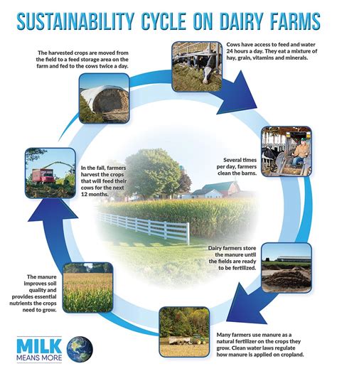 Sustainability On Dairy Farms United Dairy Industry Of Michigan