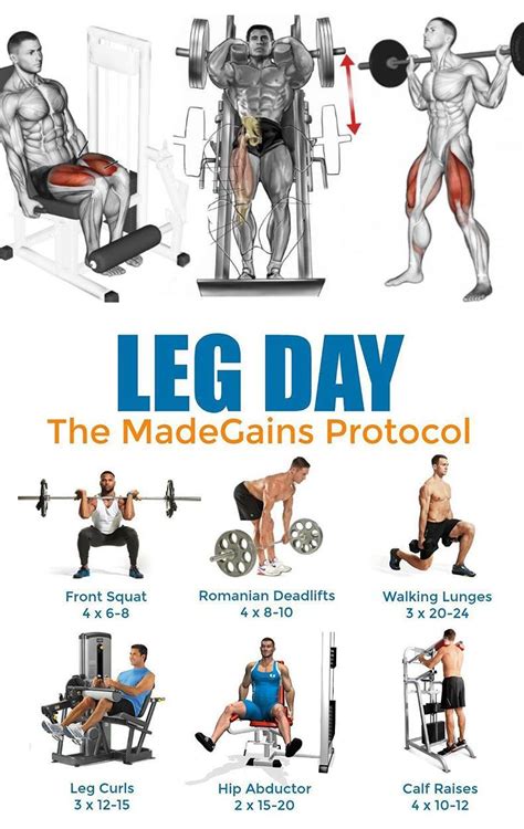Leg Day Exercises Leg Training Leg Workout Top Exercises