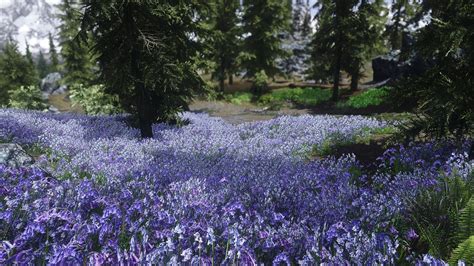 Flower Fields Se At Skyrim Special Edition Nexus Mods And Community