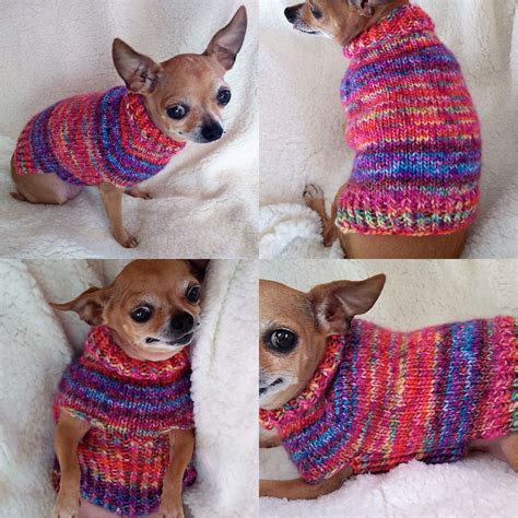 Extra Small Dog Sweater Knitting Pattern Free Web This List Of Dog