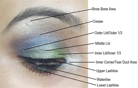 The Basics Of Eye Makeup Techniques To Master