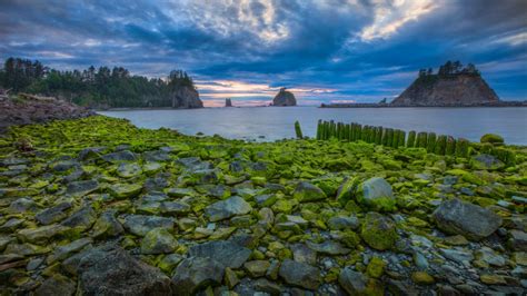 Wallpaper Trees Landscape Forest Sunset Sea Bay