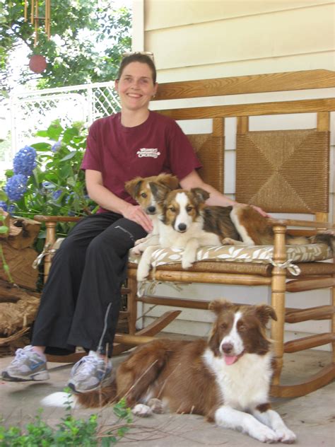 Border-collie-puppies-for-sale-gumtree renieva :: telcudovol