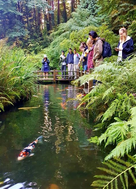 19 Beautiful Moments I Captured In The Portland Japanese Garden In 2023