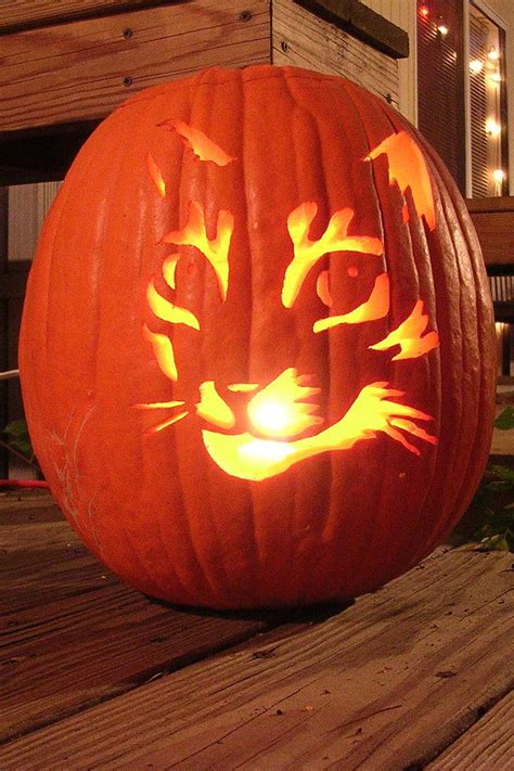 Cat Pumpkin Cat Pumpkin Carving Pumpkin Carving Scary