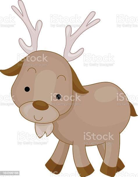 Baby Caribou Stock Illustration Download Image Now Animal Antler