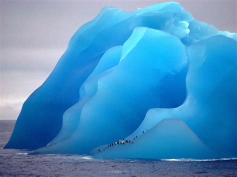 Iceberg Ice Nature Animals Wallpapers Hd Desktop And Mobile