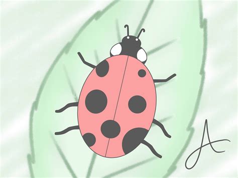 Drawing in three dimensional space. How to Draw a Ladybird: 8 Steps (with Pictures) - wikiHow