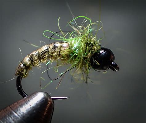 Caddis Competition Euro Nymph Fly Tying Patterns Fly Tying Fly