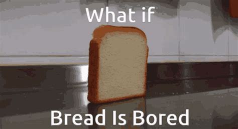 Bored Bread Falling Gif Gifdb Com