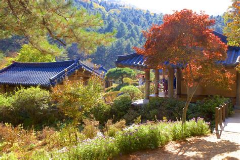 The Garden Of Morning Calm Seoul South Korea Stock Photo Image Of