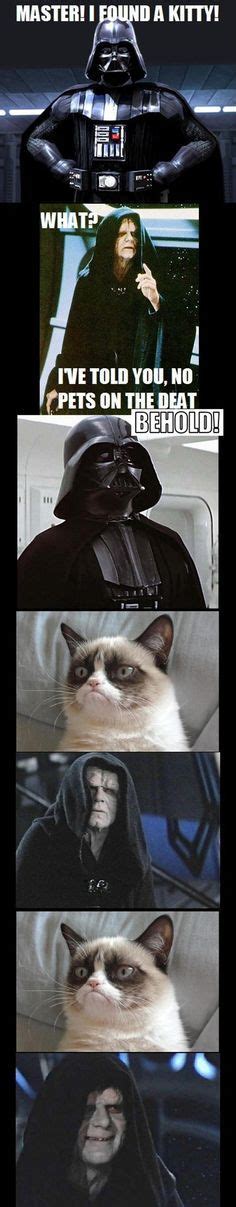 Funny Star Wars Grumpy Cat Cats Pinterest Grumpy Cat Humor Grumpy Cat And Laughing So Hard