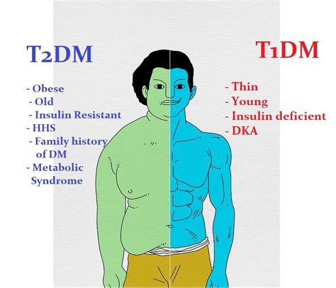 Similarities And Differences Between Type 1 And Type 2 Diabetes