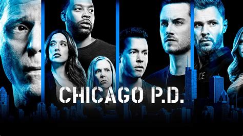 Chicago Pd Season Dvd 2020 Siappcuaedunammx