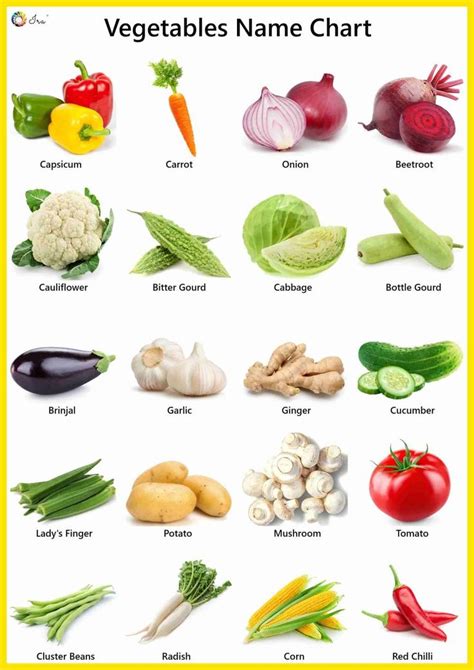 Vegetables Names In English Pictures Videos Charts Ira Parenting
