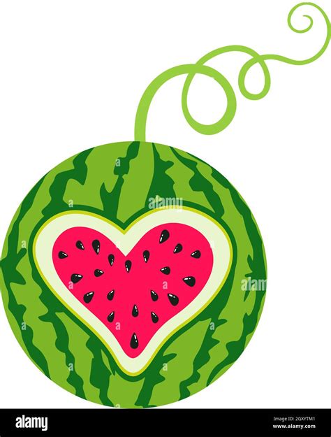 Funny Love Watermelon Heart Shaped Stock Photo Alamy