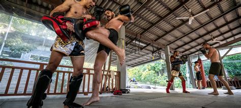 muay thai training in thailand muay thai boxing camp in koh tao