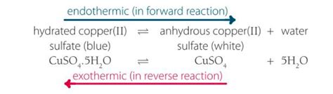 Energy And Reversible Reactions Rates And Equilibrium Chemistry Year