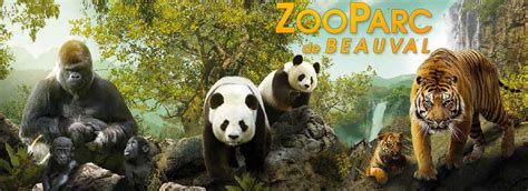 Ranked n°1 of the zoos in france! Zoo de Beauval - Parc zoologique