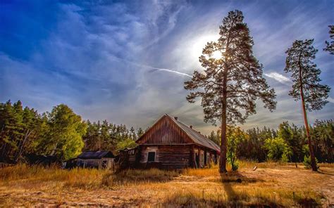 Landscape Nature Forest Cabin Dry Grass Abandoned Trees Sun