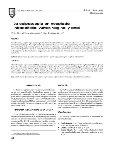 La Colposcopia En Neoplasia Intraepitelial Vulvar Vaginal Y Anal My